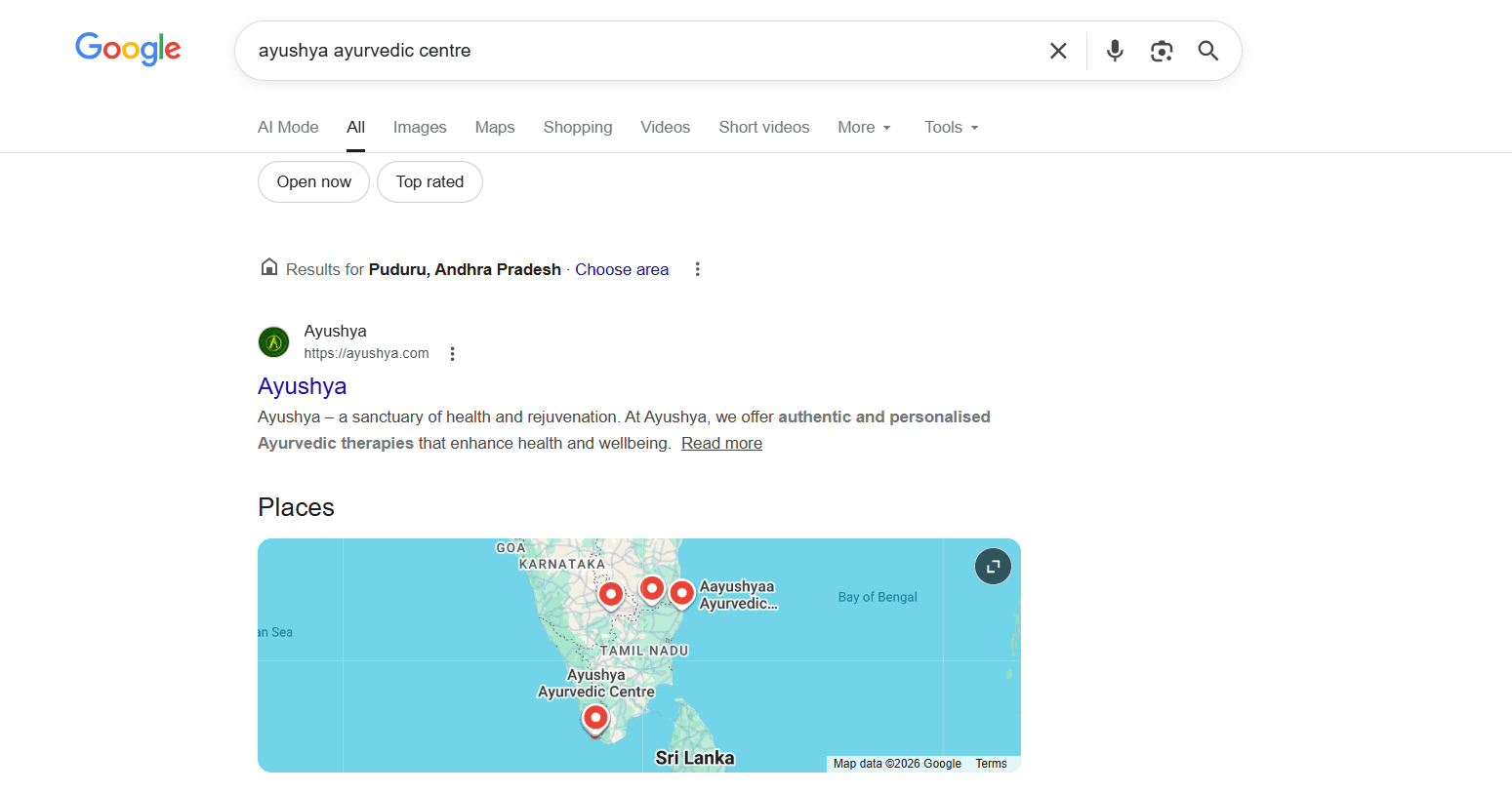 Google Business Profile Performance