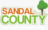 sandal logo