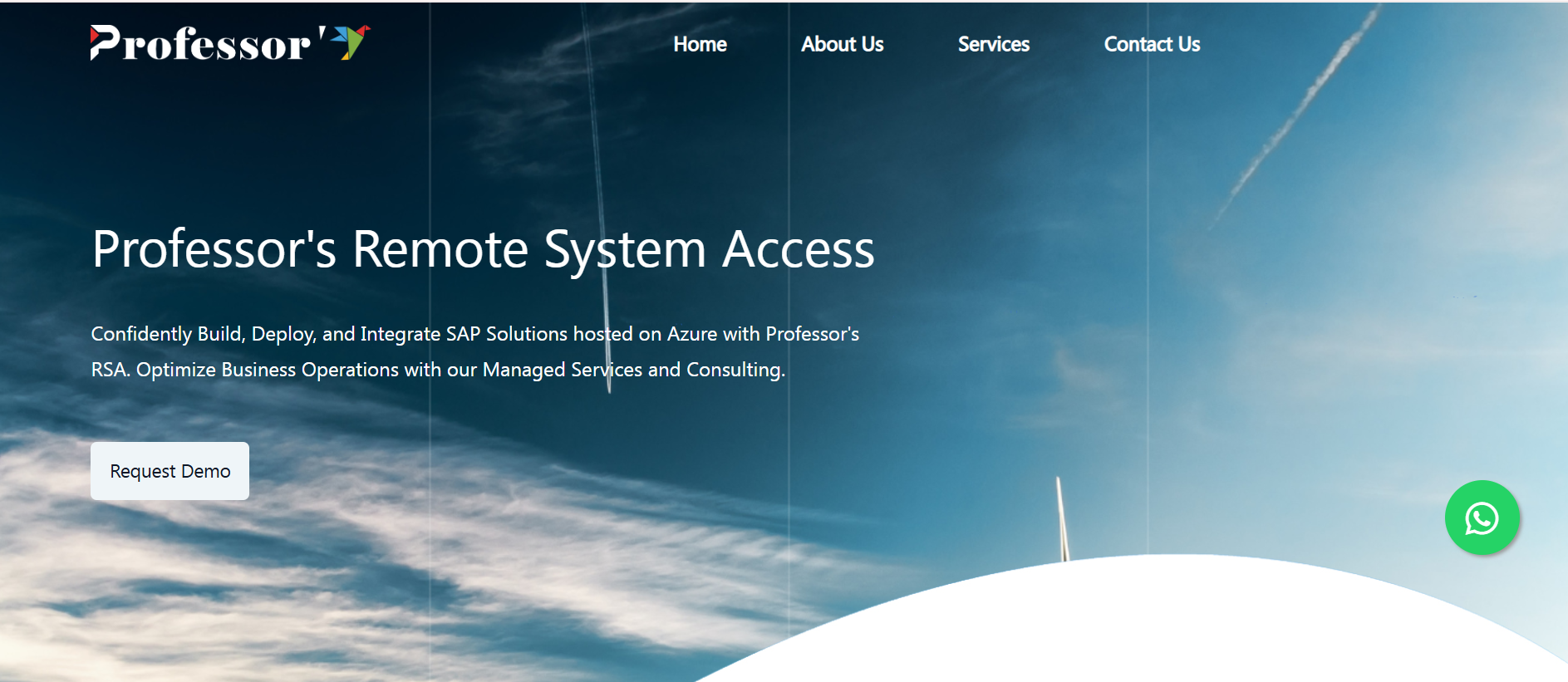 Professors Software Services